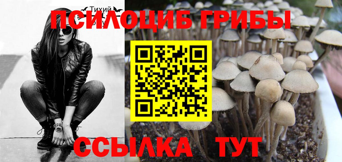 Псилоцибиновые грибы мухоморы Лениногорск